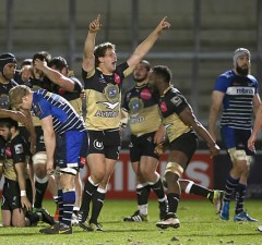 South African Frans Steyn celebrates victory