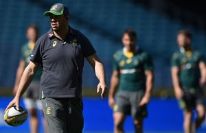 Michael Cheika says the Wallabies want the Bledisloe Cup as much as the All Blacks