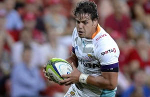 Francois Venter will captain the Cheetahs in 2016